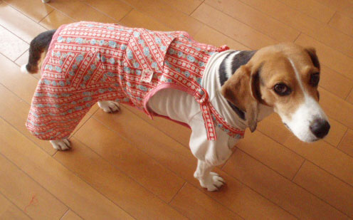 オーバーオール　（大型犬用）