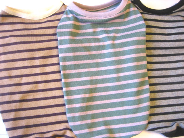 ボーダーTee　