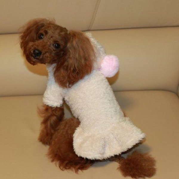 画像2: サンゴファーフリースワンピース (2)