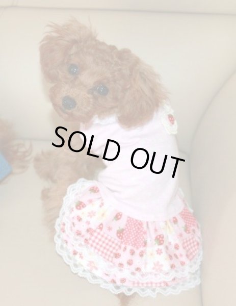 画像2: ドット＆ベリーワンピ (2)