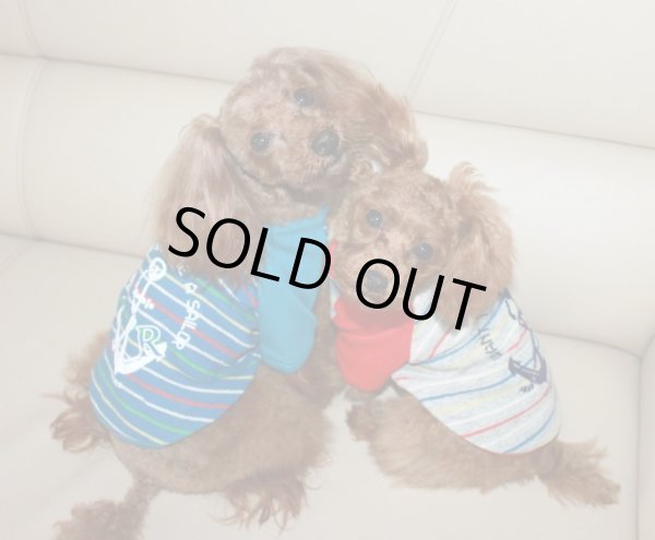 画像4: トイボーダー＆イカリプリントTシャツ (4)