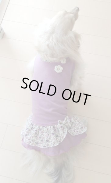 画像2: ベリーパープル＆小花ワンピ (2)