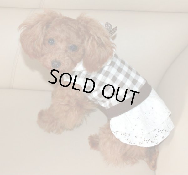 画像2: ブラウンチェック＆レースパーカー (2)