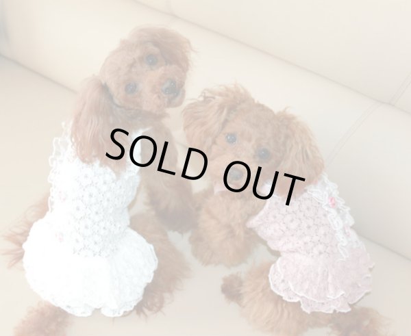 画像3: レースニットワンピ (3)