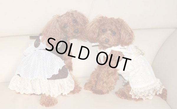 画像3: ガーリーなワンピ　typeB (3)