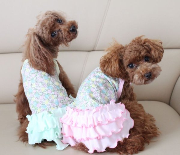 画像4: フルーツ&フルーツワンピ　 (4)