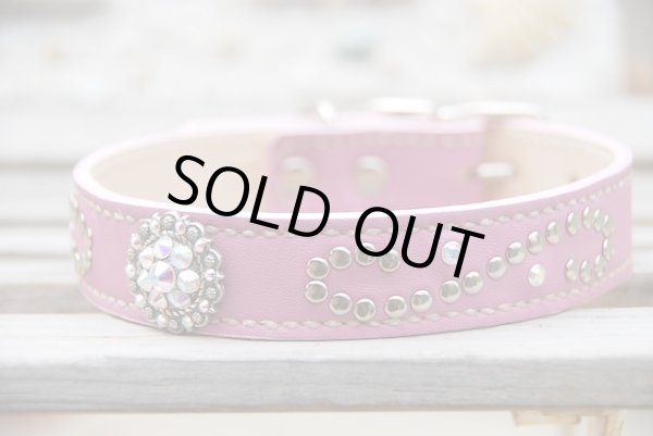 画像5: [pupplanet] ジョリーン　　レザー首輪、リード (5)