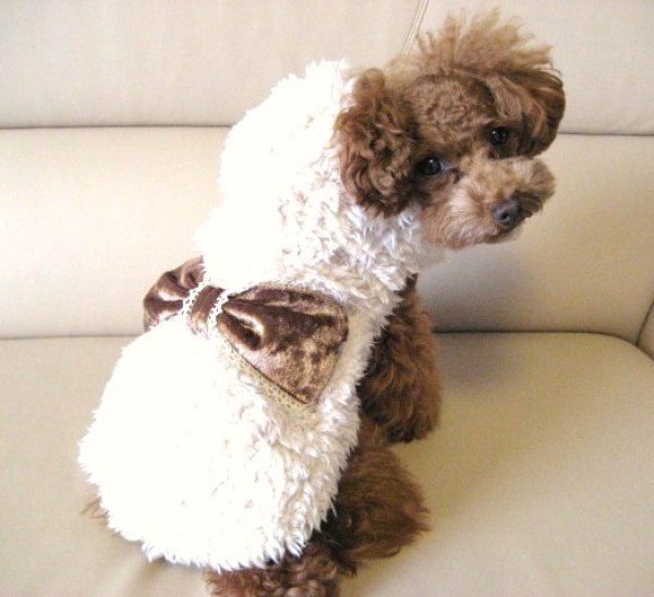 画像4: プードルファー＆Bigリボンポケットコート (4)