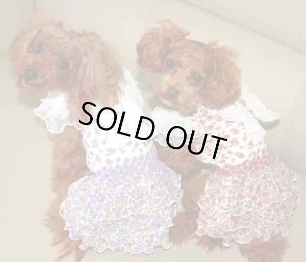 画像5: エレガントフラワー接結裏POTIワンピ (5)