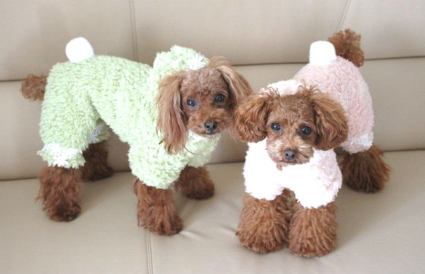 画像5: BOA オールインワン (5)