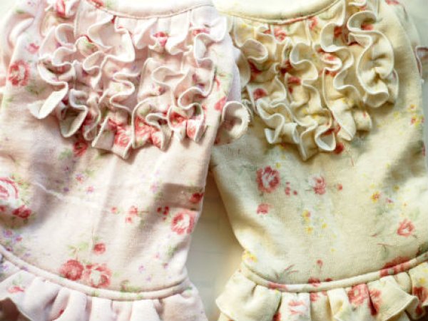 画像4: バラ＆フリルレースワンピ (4)