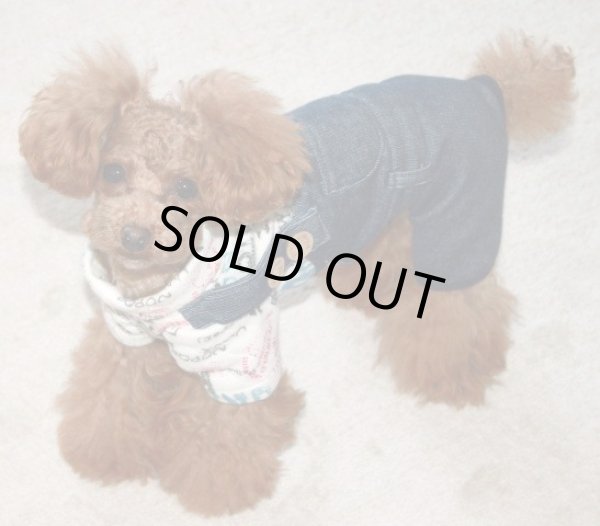 画像5: グラフィック＆カラーデニムオールインワン (5)