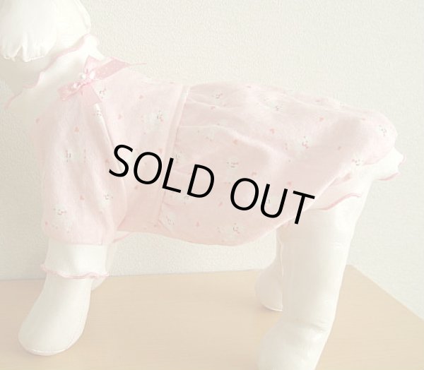 画像3: トイプー柄ワンピ (3)