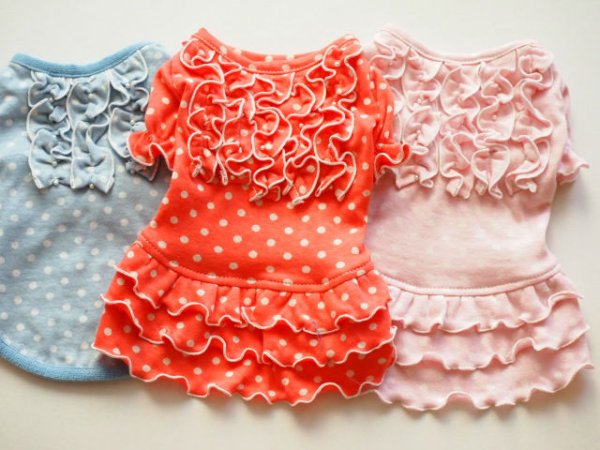 画像2: ドットフリル＆チビパールTシャツ、ワンピ　 (2)