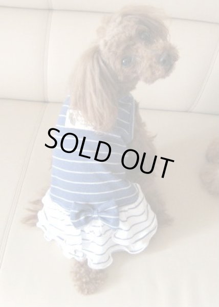 画像5: マリーンボーダーワンピ、タンク (5)