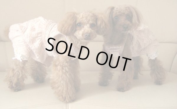 画像4: レースキャミオールインワン　アンティークピンク (4)