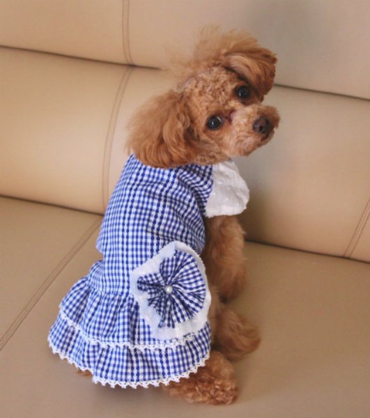 画像4: ギンガムチェックレース柄チュニックワンピ (4)