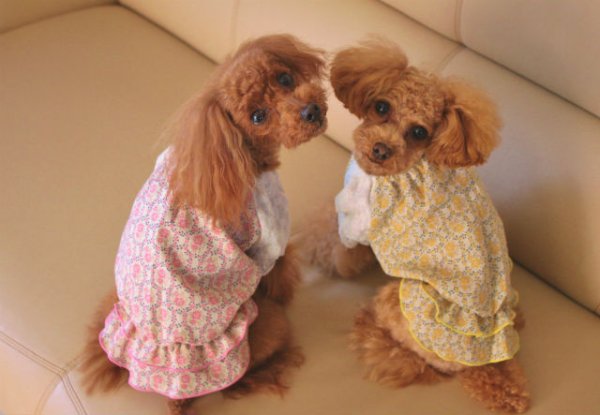 画像5: コットンワッシャーボイル　お花チュニック (5)