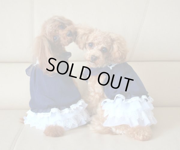 画像4: Navyシフォン＆レースワンピ (4)