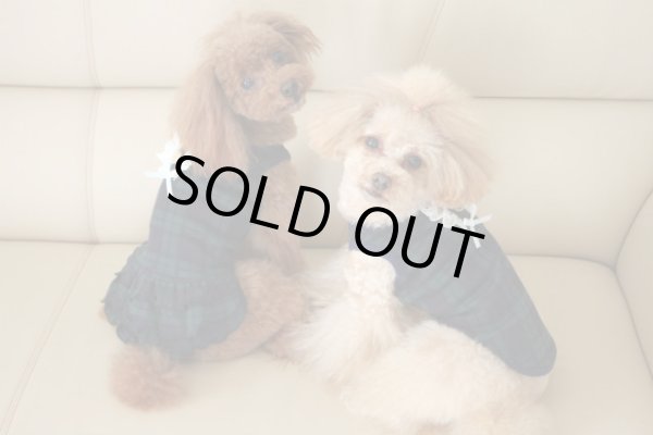 画像5: BWニットワンピ－ス、タンク (5)