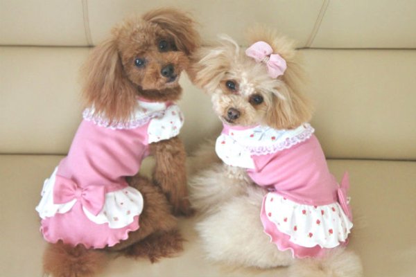 画像4: Pinky & berry ワンピース (4)