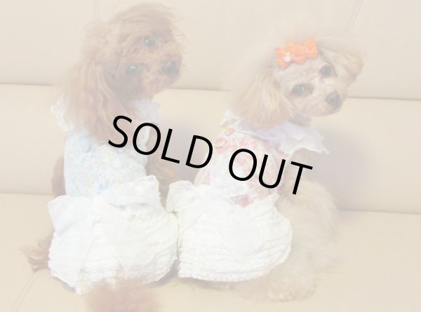 画像5: お花ベール＆ホワイトスカート　ワンピース (5)