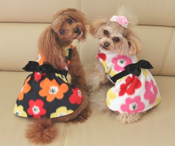 画像5: 大きなお花フリース　ワンピース (5)