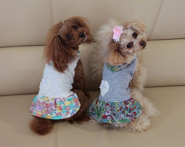 画像5: アニマルタウン柄　ワンピース (5)