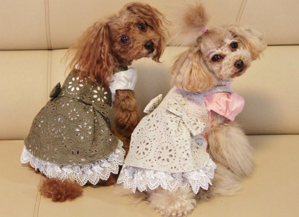 画像7: サークルレースワンピース (7)