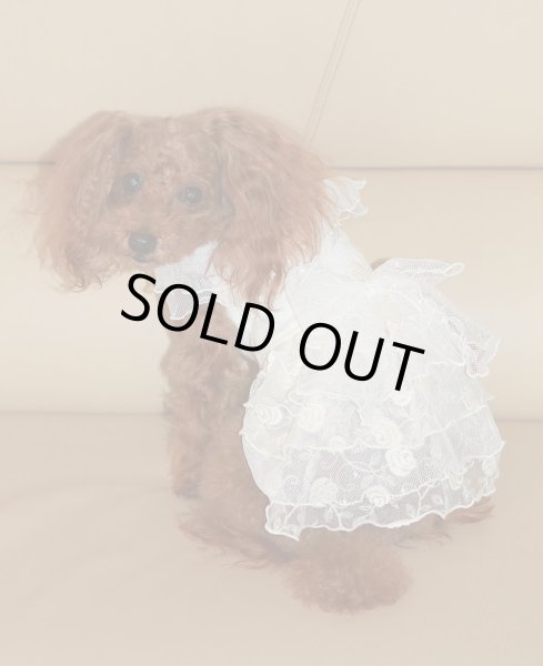 画像8: ローズチュールレースワンピース (8)