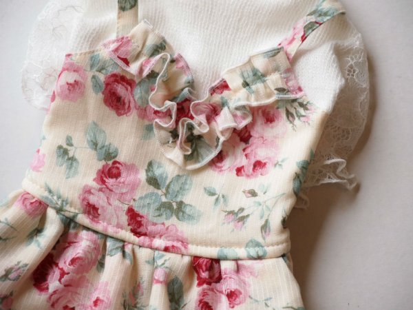 画像5: 薔薇ガーデンオールワンピース (5)