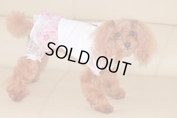 画像4: フラワーシャワー オールインワン (4)