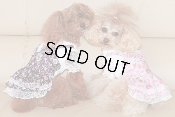 画像4: フラワーシャワーオールワンピース (4)