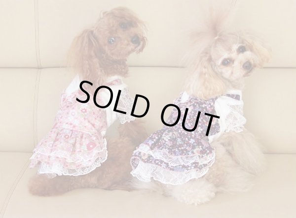 画像5: フラワーシャワーオールワンピース (5)