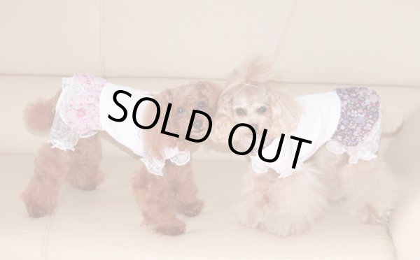 画像5: フラワーシャワー オールインワン (5)