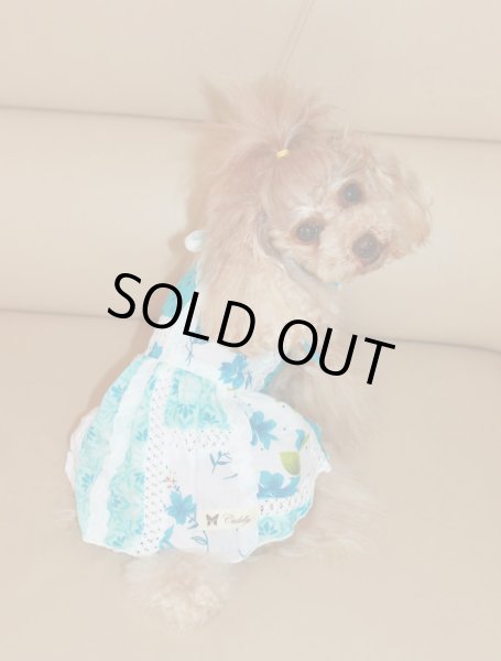 画像5: インド綿パッチワークワンピース (5)