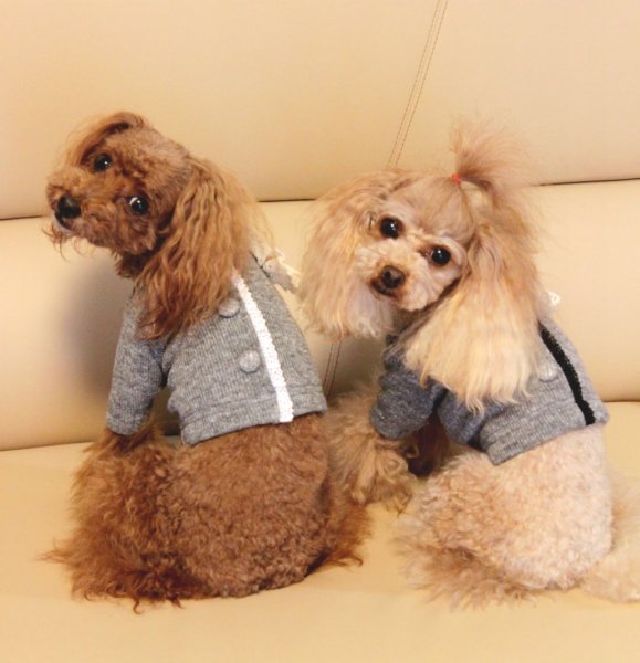 画像6: 杢グレー接結ニット　カーディガン (6)