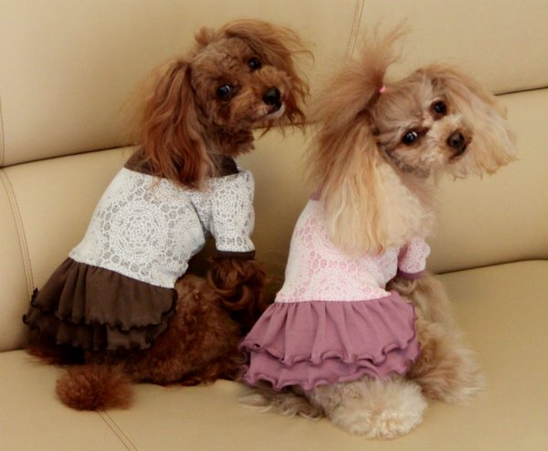 画像6: ドイリー接結ニットワンピース (6)