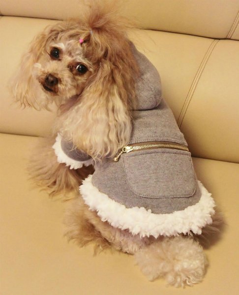 画像6: モカグレーニット&ボアコート (6)