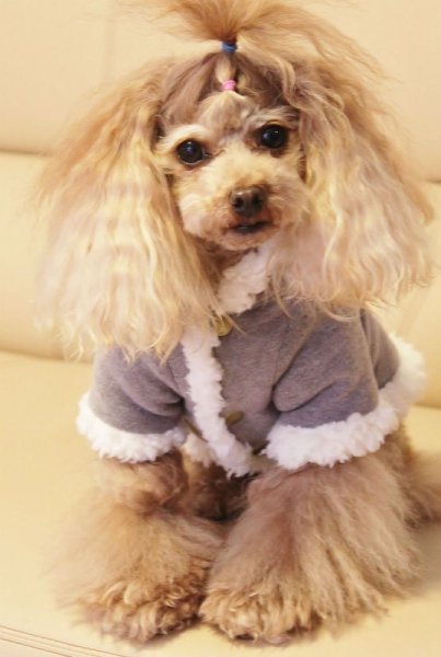 画像5: モカグレーニット&ボアコート (5)