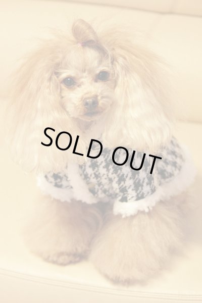 画像6: モールチェック＆ボアコート (6)