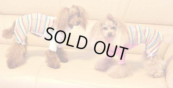 画像6: Candy POPジャガードニット　オールインワン (6)