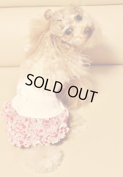 画像4: 裏毛ベビーピンク＆お花ワンピース (4)