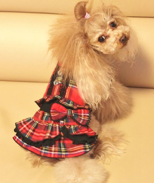 画像6: タータンチェック＆黒スムースワンピース (6)