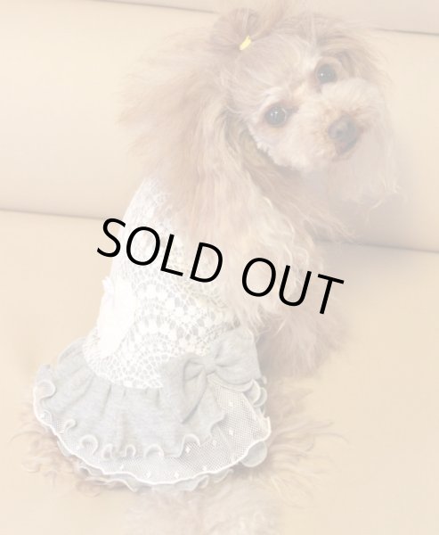 画像3: グレーレースワンピース (3)