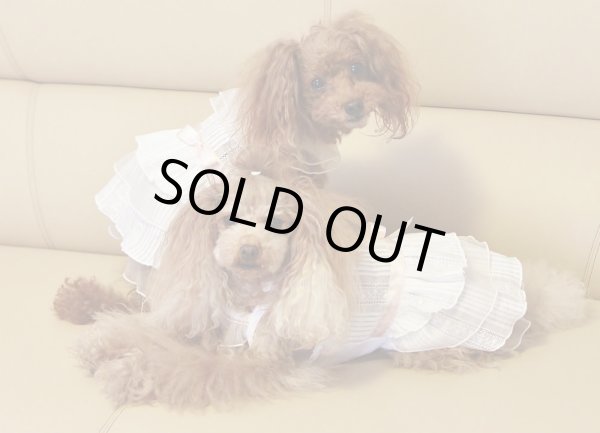 画像9: （数量限定）ピンタックコットンレースワンピース (9)