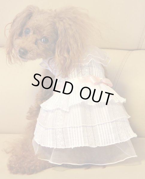 画像7: （数量限定）ピンタックコットンレースワンピース (7)