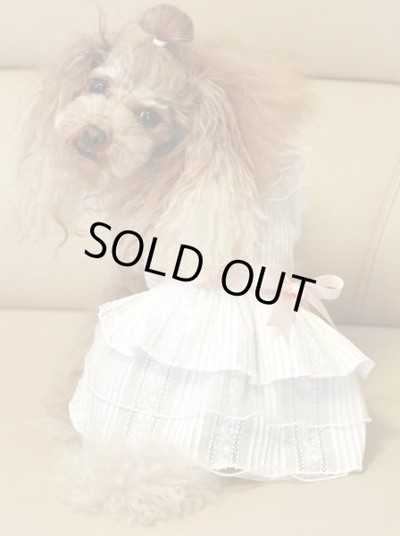 画像8: （数量限定）ピンタックコットンレースワンピース (8)