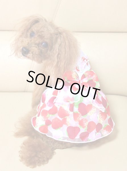 画像3: いちごオーガンジーワンピース (3)