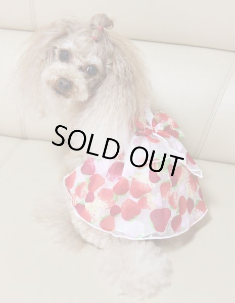 画像4: いちごオーガンジーワンピース (4)